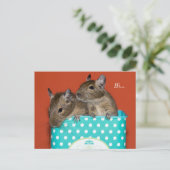 Degus Inside Coffee Tin 'Hi' Briefkaart (Staand voorkant)