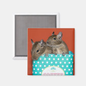 Degus met Polka Dots Magneet (Voorkant / Achterkant)