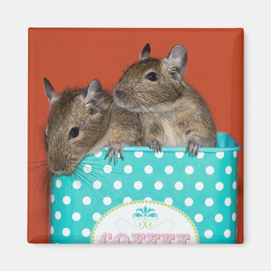 Degus met Polka Dots Magneet (Voorkant)
