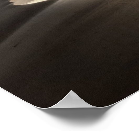 Dehydratie Poster (Hoek)