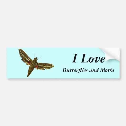 Deilephila celerio - Vine Hawk-Moth Bumpersticker (Voorkant)