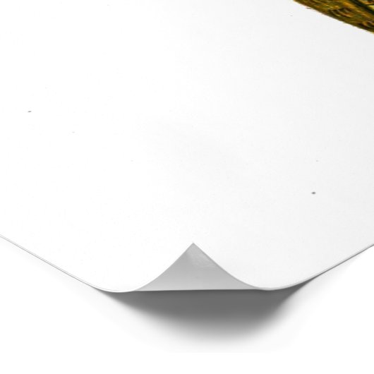 Deilephila celerio - Vine Hawk-Moth Poster (Hoek)