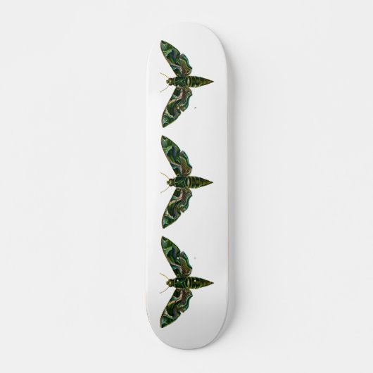 Deilephila Nerii - Oleander Hawk-Moth Persoonlijk Skateboard (Voorkant)