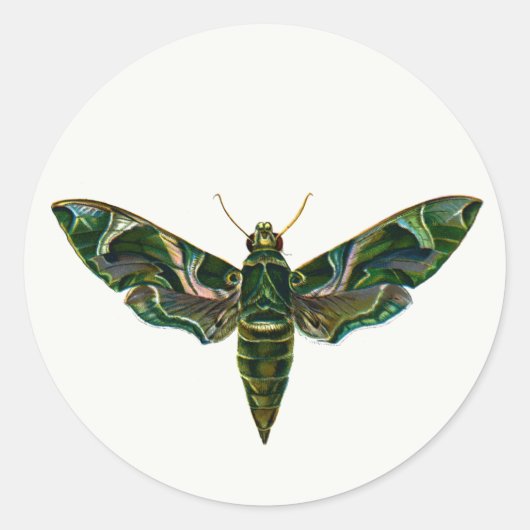 Deilephila Nerii - Oleander Hawk-Moth Sleutelhange Ronde Sticker (Voorkant)
