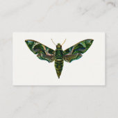 Deilephila Nerii - Oleander Hawk-Moth Visitekaartje (Achterkant)