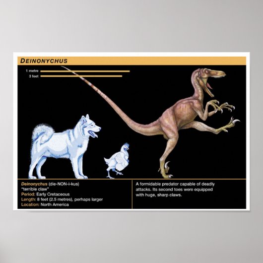 Deinonychus - Biology Jurassic Dinosaur Poster (Voorkant)