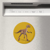 Deinonychus Magneet (Insitu (Vaatwasser))