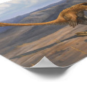 Deinonychus Prey Restraint Print (Hoek)