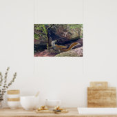 Deinonychus Prooi Beperking Redux Print (Keuken)