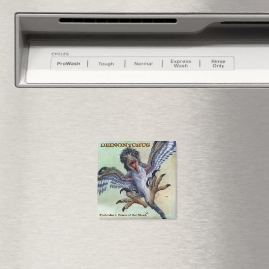 Deinonychusmagneet Magneet (Insitu (Vaatwasser))