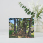 Deis Hill Park, Dover, Ohio Briefkaart (Staand voorkant)
