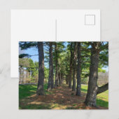 Deis Hill Park, Dover, Ohio Briefkaart (Voorkant / Achterkant)