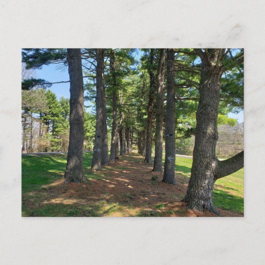 Deis Hill Park, Dover, Ohio Briefkaart (Voorkant)