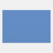 Deja Vu Blauw Lente Seizoen Effen Kleur Inpakpapier Vel (Voorkant 3)