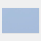 Deja Vu Blauw Lente Seizoen Effen Kleur Inpakpapier Vel (Voorkant 2)