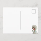 Dek het Briefkaart van de waterkuikens (Achterkant)