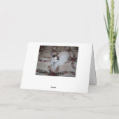 Dekbed, het Horloge van de God van Mei over u Kaart (Achterkant)