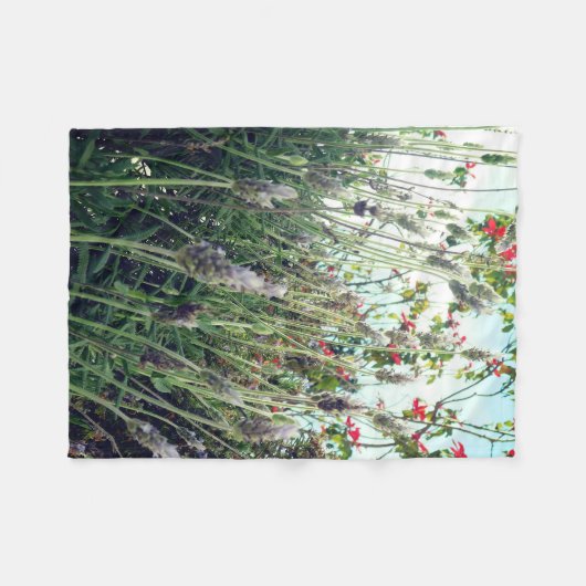 deken (Voorkant (Horizontaal))