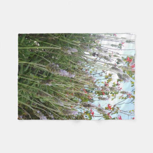 deken (Voorkant (Horizontaal))