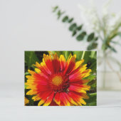 Deken Bloem Briefkaart (Staand voorkant)