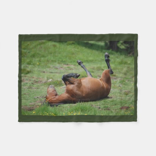 Deken _ Italië _ Aveto Natuurpark _ Paard (Voorkant (Horizontaal))