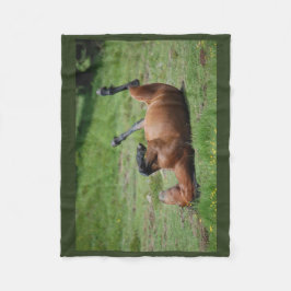 Deken _ Italië _ Aveto Natuurpark _ Paard