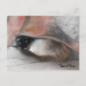 Deken met afbeelding van een lief Siamese katje Briefkaart (Voorkant)