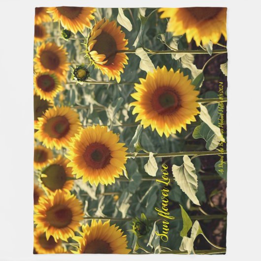 Deken van James Michael Miller 3/17/2024 (Voorkant)