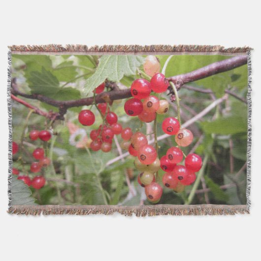 deken voor het gooien van aalbessen (Voorkant)