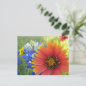 Dekens en knuppels briefkaart (Staand voorkant)