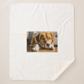 Dekens met hond (Voorkant)