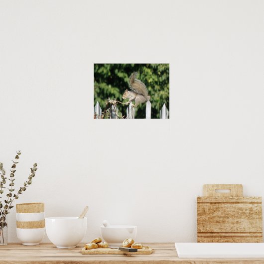 Dekhoorn balanceren poster (Keuken)