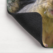 Dekhoorn Closeup Muismat (Hoek)