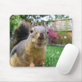 Dekhoorn Closeup Muismat (Met muis)