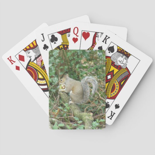 Dekhoorn met acorn-speelkaarten speelkaarten (Achterkant)