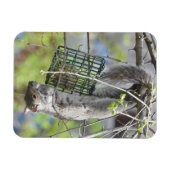 Dekhoorn omhoog magneet (Horizontaal)