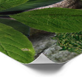 Dekhoorndragons Poster (Hoek)