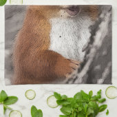 Dekhoornkeuken Theedoek (Gevouwen)