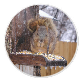 Dekhoornknobbels Keramische Knop