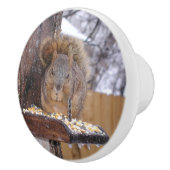 Dekhoornknobbels Keramische Knop (Rechts)