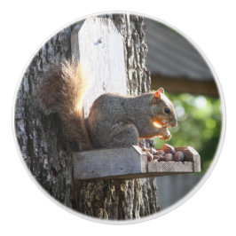 Dekhoornknobbels Keramische Knop