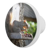 Dekhoornknobbels Keramische Knop (Rechts)