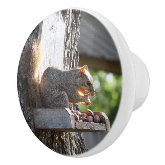 Dekhoornknobbels Keramische Knop (Rechts)