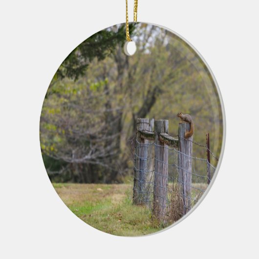 Dekhoornkop Keramisch Ornament (Links)