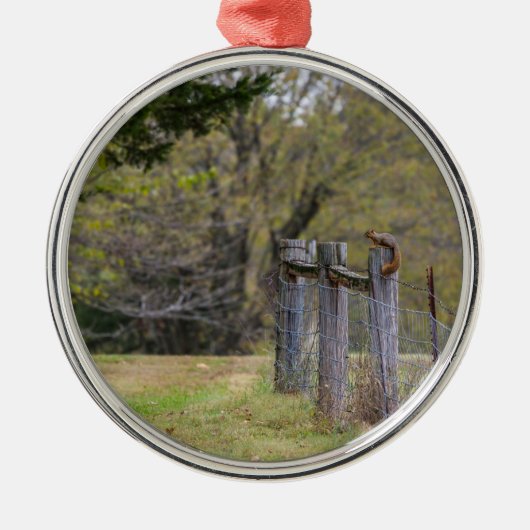 Dekhoornkop Metalen Ornament (Voorkant)