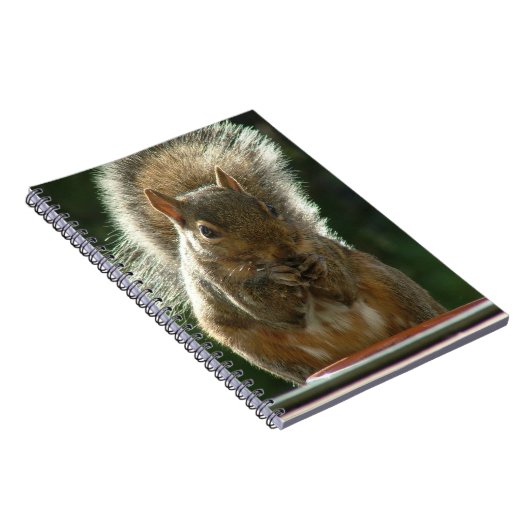 Dekhoornlaptop Notitieboek (Rechterzijde)