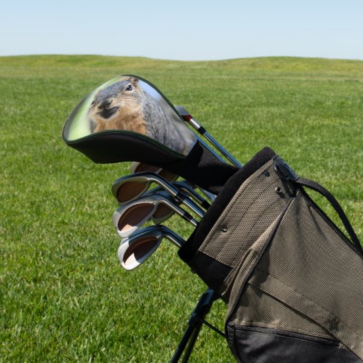 Dekhoornmagneet Golfheadcover (Insitu)