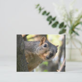 Dekhoornpas Briefkaart (Staand voorkant)