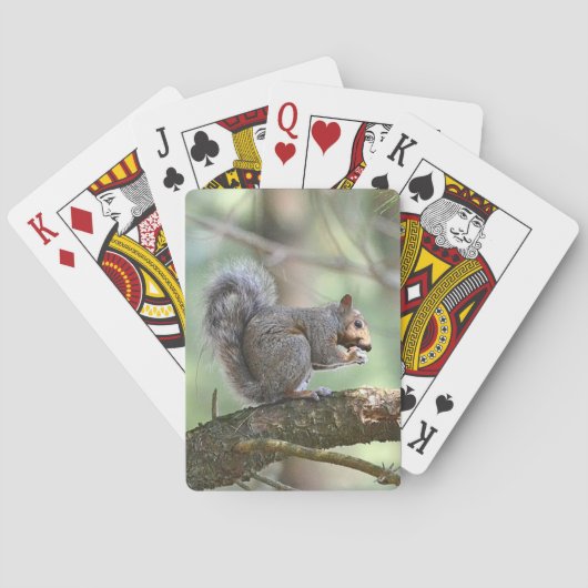 Dekhoornspatkaars Pokerkaarten (Achterkant)