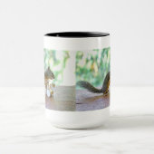 Dekhoornspuittrommels Mok (Midden)